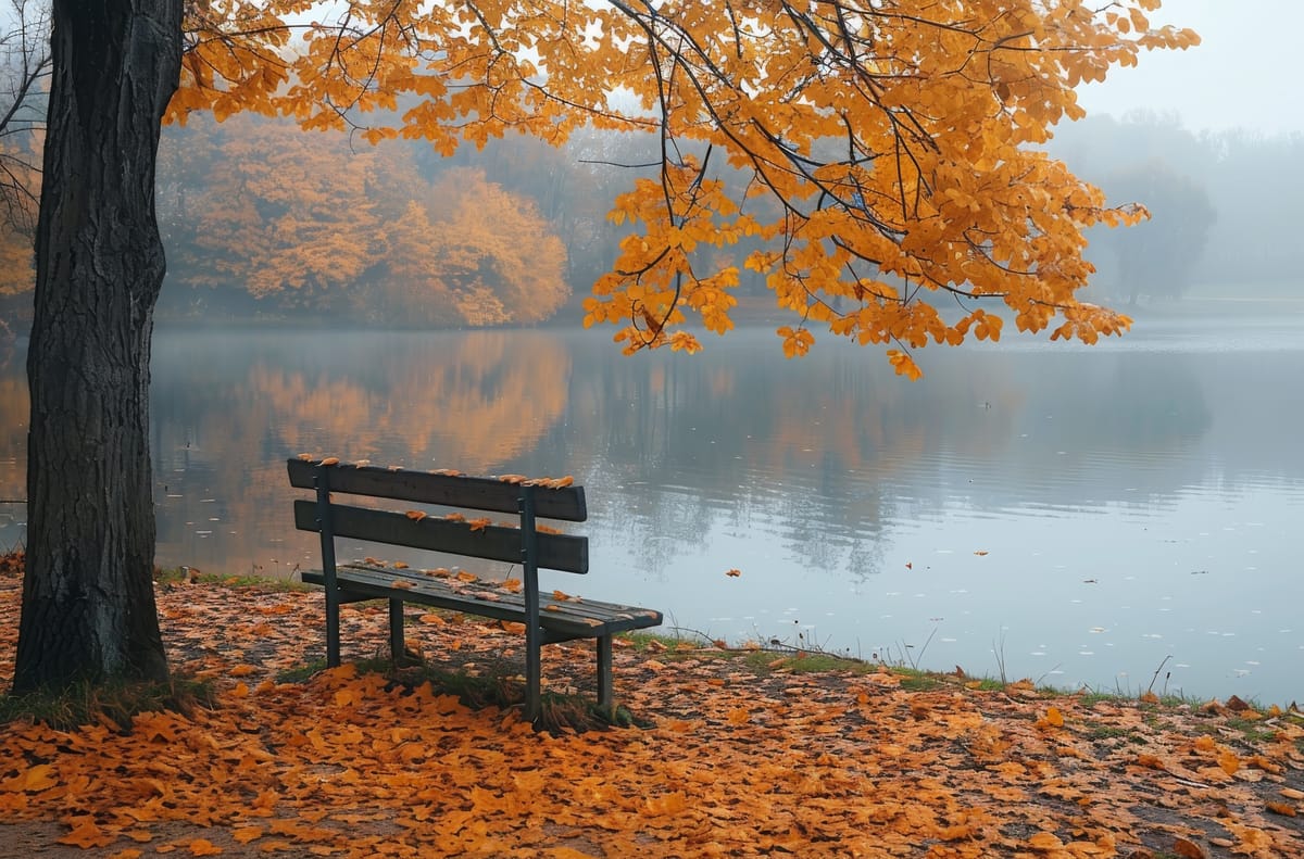 Piosenka o zapomnianych rzeczach