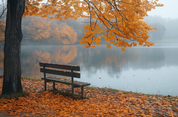 Piosenka o zapomnianych rzeczach